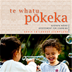 Te Whatu Pokeka: An introduction
